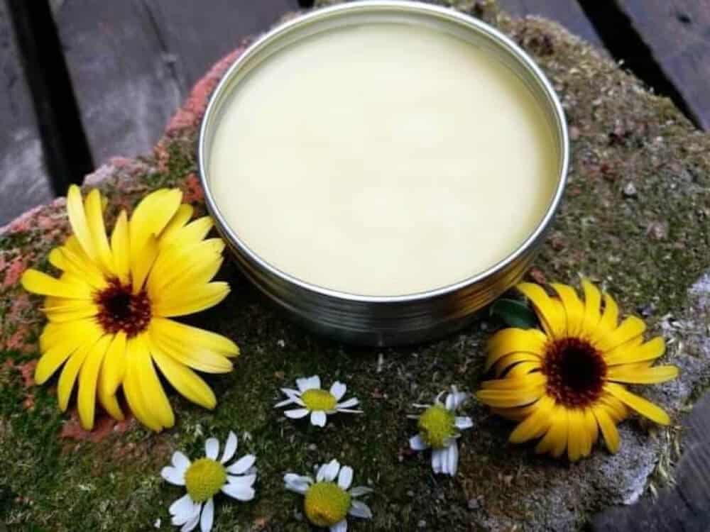 Calendula Balm